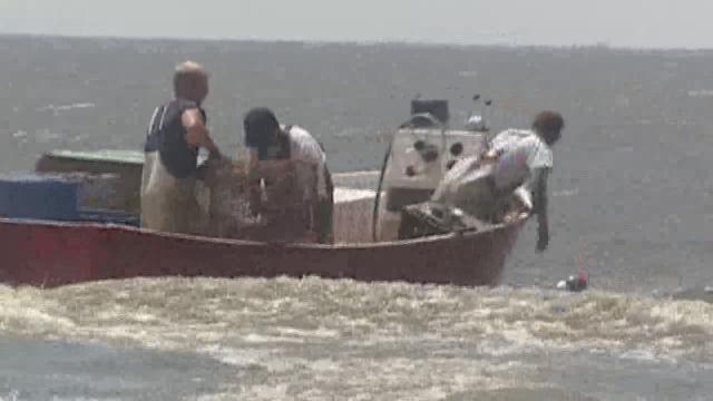 Hundreds of crabbers across Louisiana are speaking out against a new state-wide moratorium on fishing for the popular seafood.