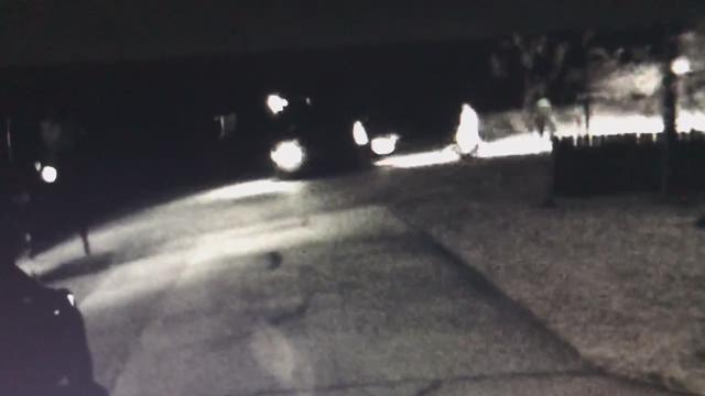 Police: Women attempted to run over two people with vehicle after ...